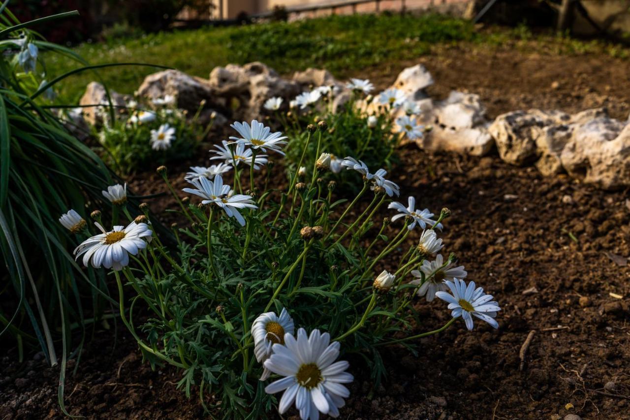 Apartmán La Gardenia Montecatini Terme Exteriér fotografie